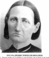 Sylvia Desire Wheeler (1821 - 1877) Profile